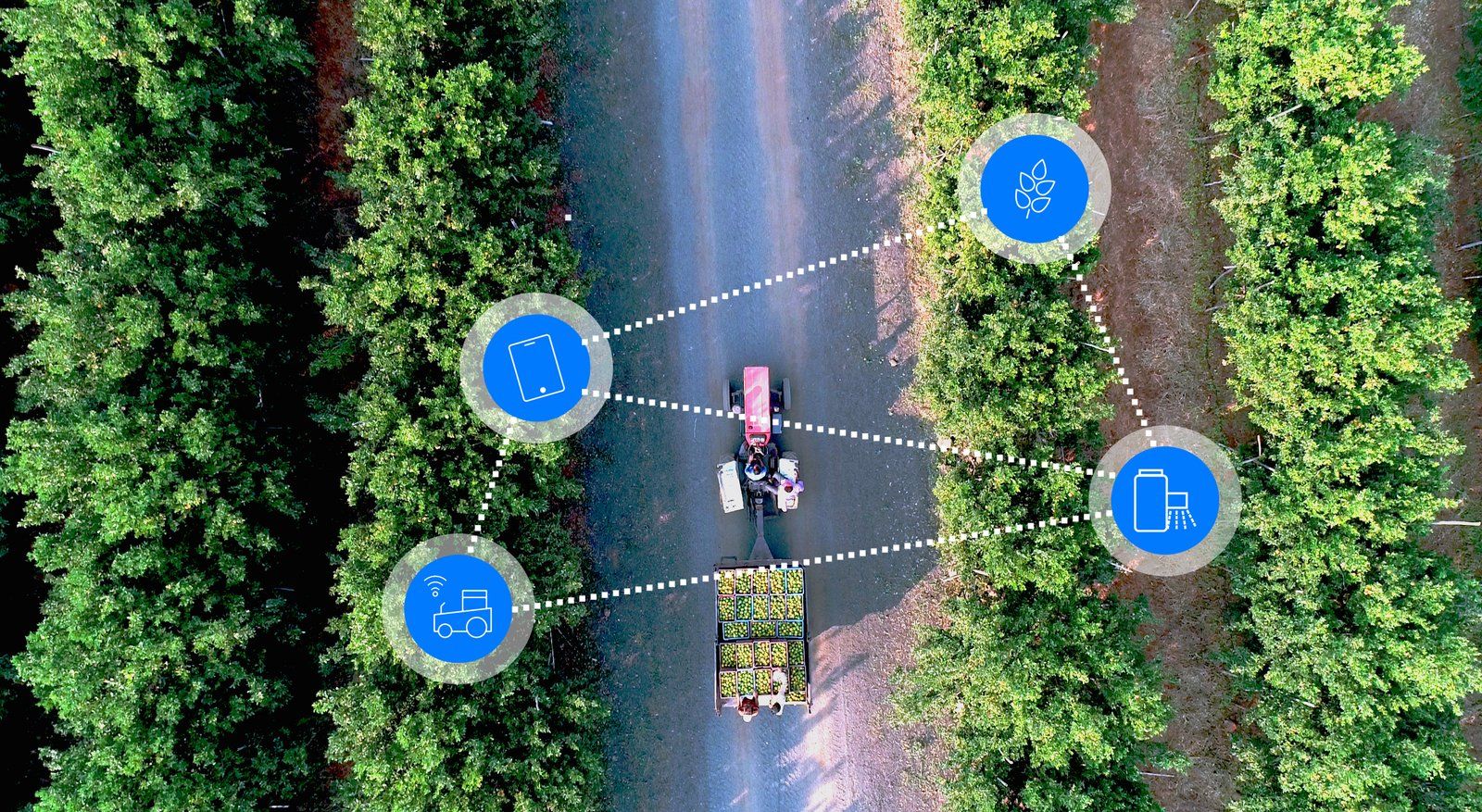 FARMING DIGITAL PARA HUERTOS